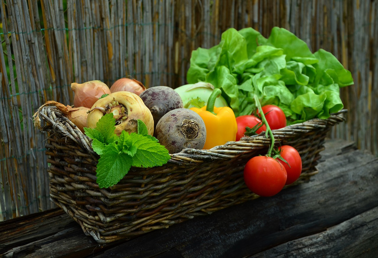 organic-foods-and-self-sufficiency-in-growing-it-go-read-it